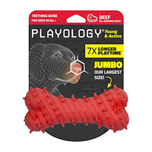 Playology puppy teething bone