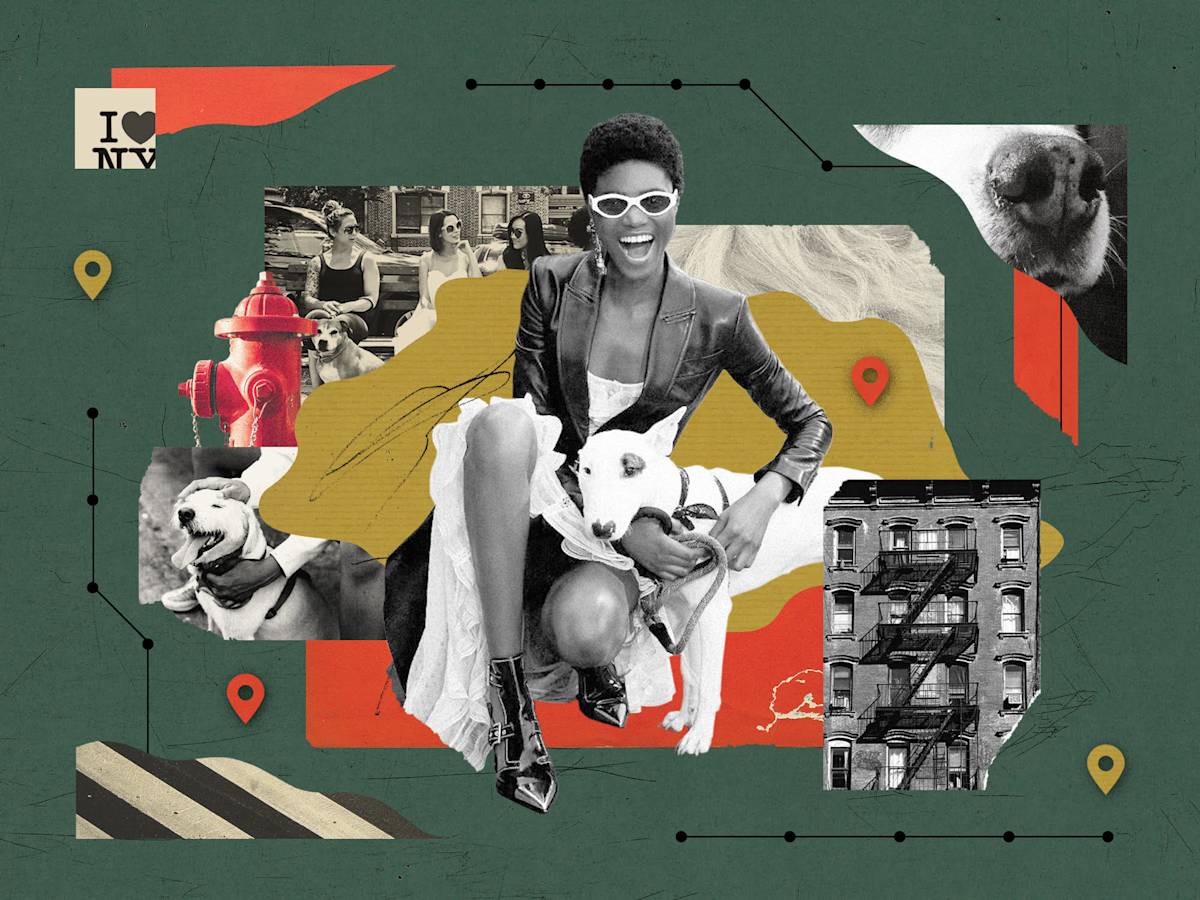collage of NYC dog friendly places