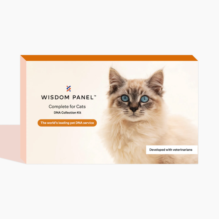 the wisdom panel for cats