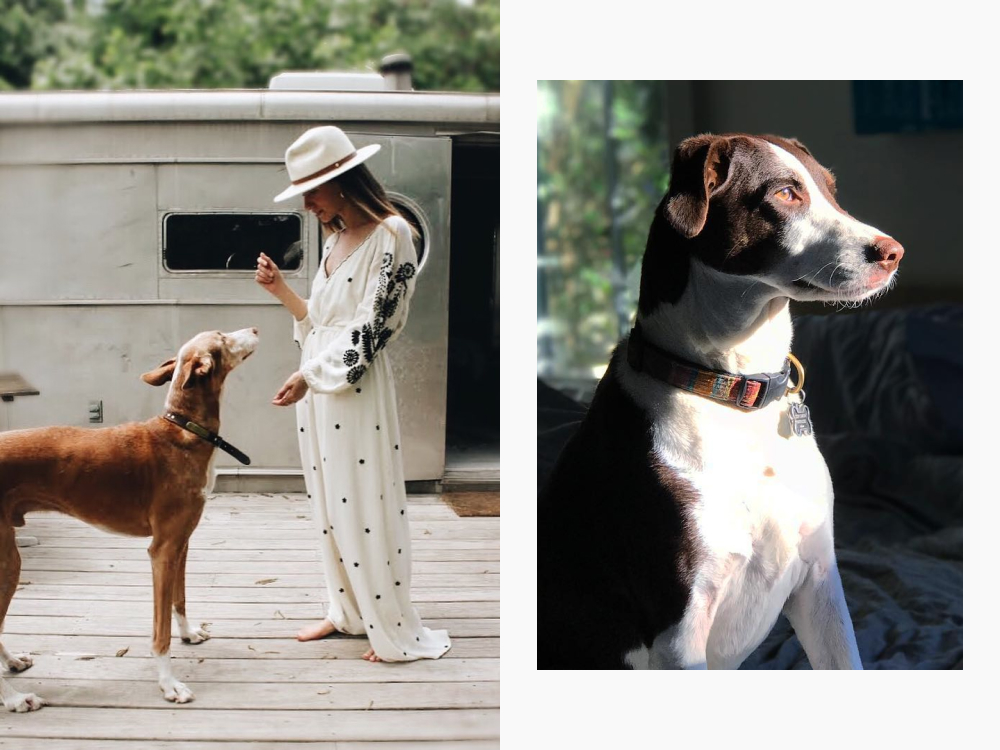 danielle and her dog