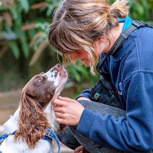Woman from Battersea Rescue petting white and brown dog outside