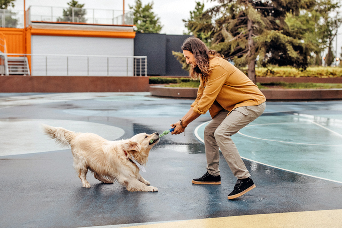 Person playing tug with a dog