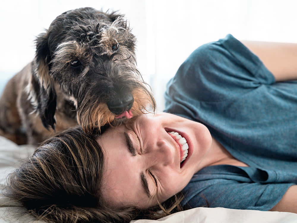 Dogs licking woman's face at home.