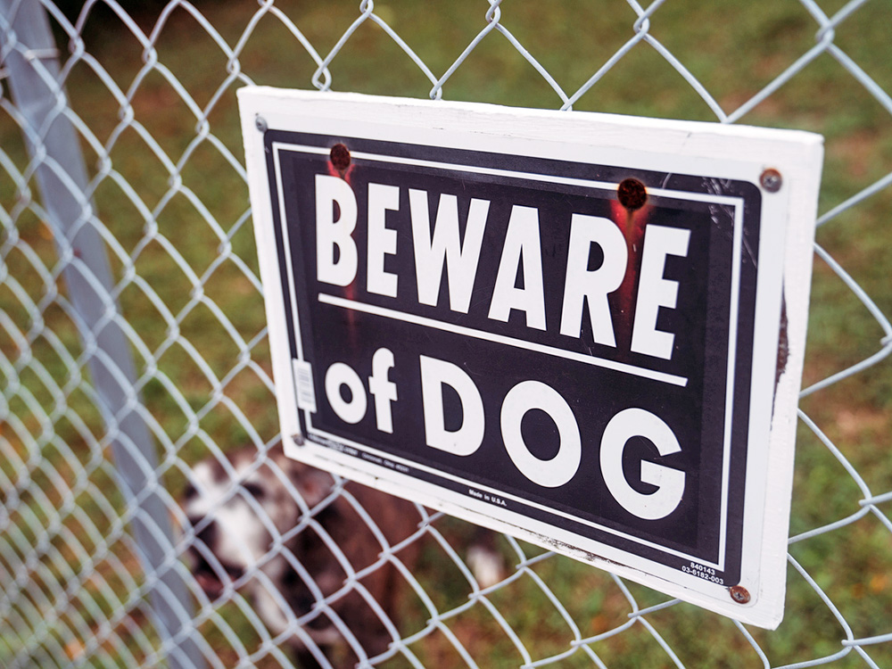 Dog behind metal fence with a "beware" sign.