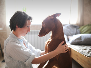 Woman looks eye to eye at Pharaoh's dog on floor in bedroom