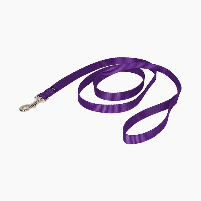purple dog leash