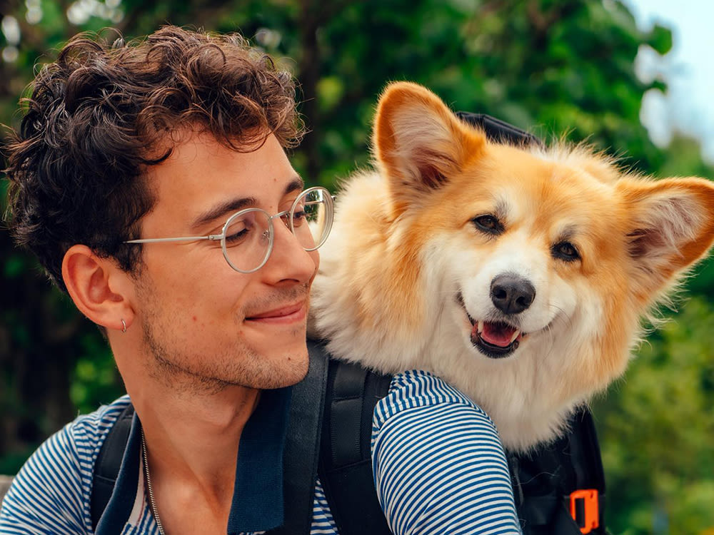 Julian Shapiro-Barnum sitting outside and smiling at Maxine the Fluffy Corgi in his backpack.