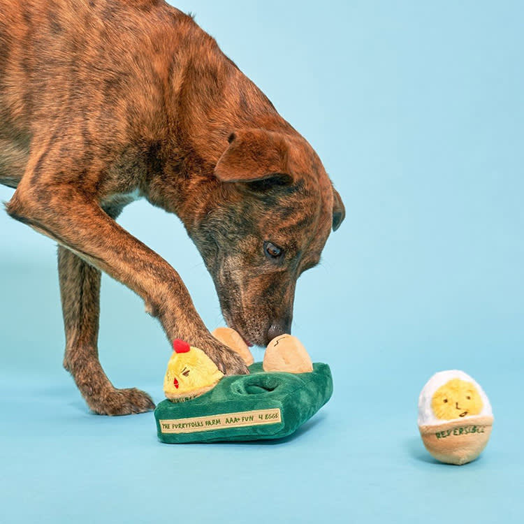 a dog playing with furryfolks egg toy