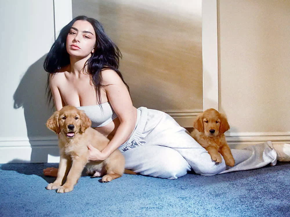 Charli XCX and two golden retriever puppies.