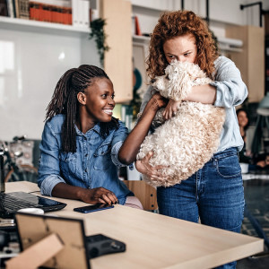 Women bringing their dog into work with them.