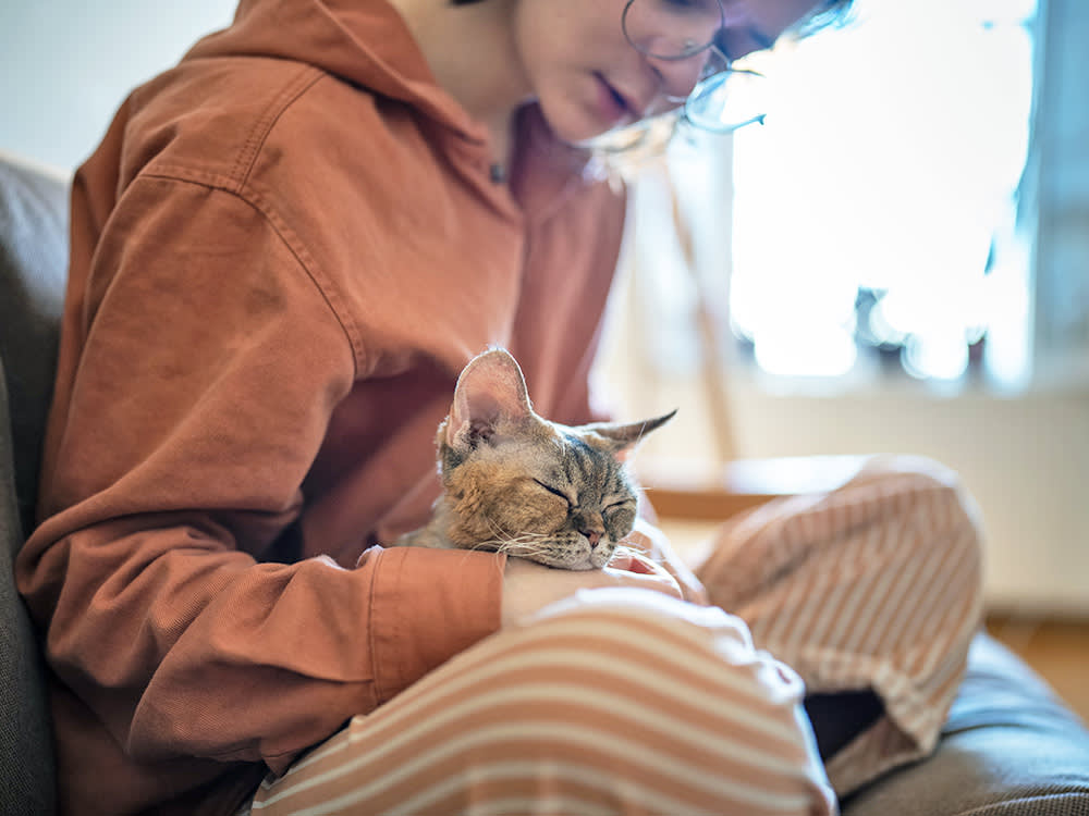 Cat sleeping on woman's lap at home.