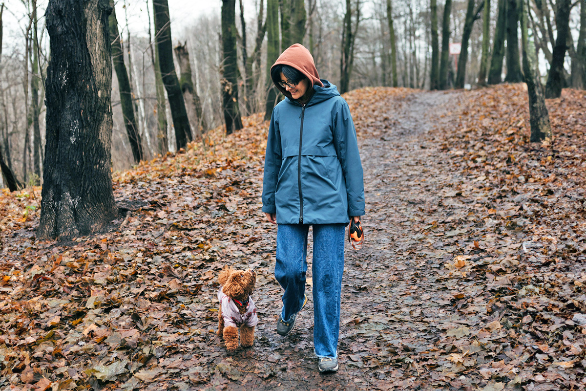 person walking dogs in the woods among leaves