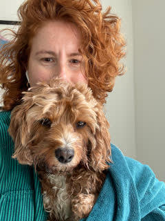 woman with curly red hair with small cavapoo tucked in her shirt