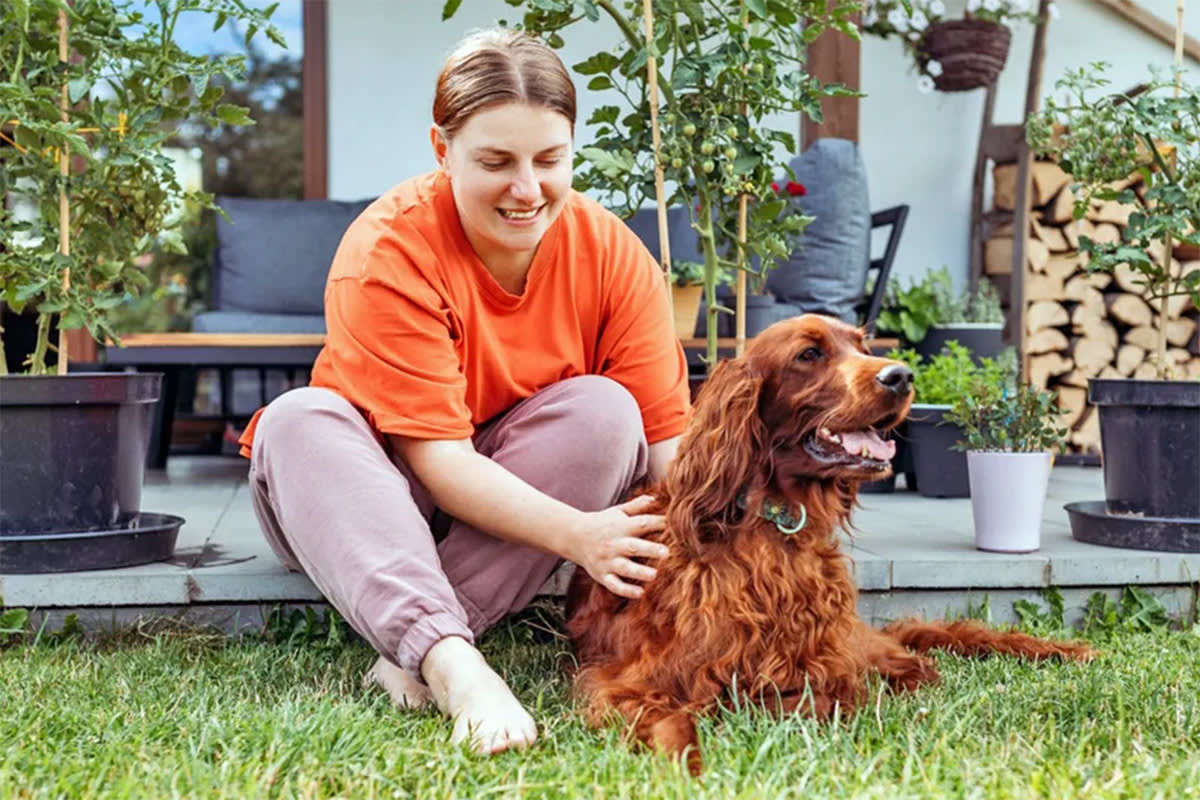 Person petting dog on ground