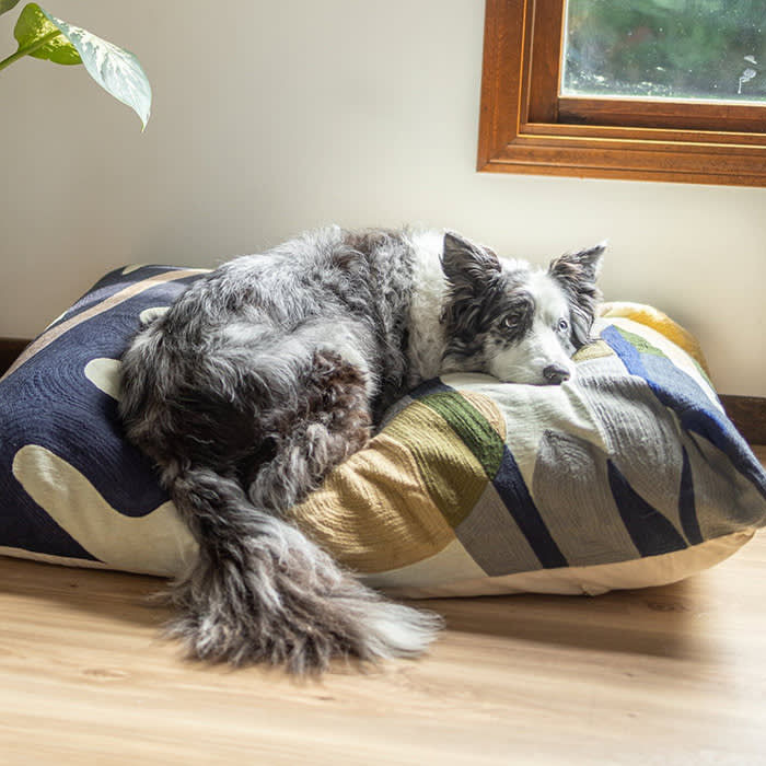 grey and white dog on navy green and yellow patterned dog bed