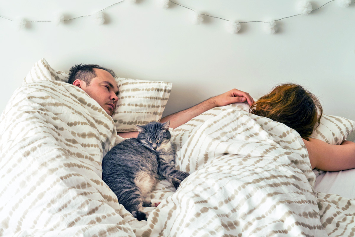Cat in bed with two people