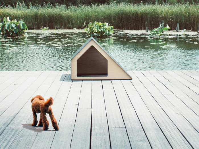 dog heading towards an angular doghouse near a body of water