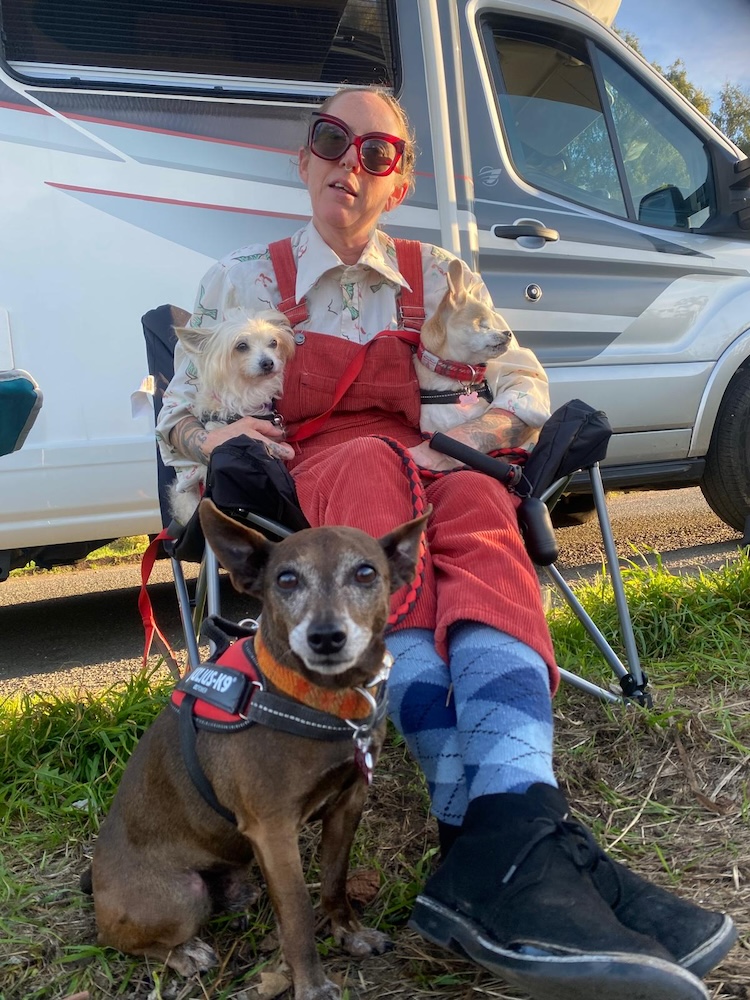 a woman sits in a camping chair with three dogs