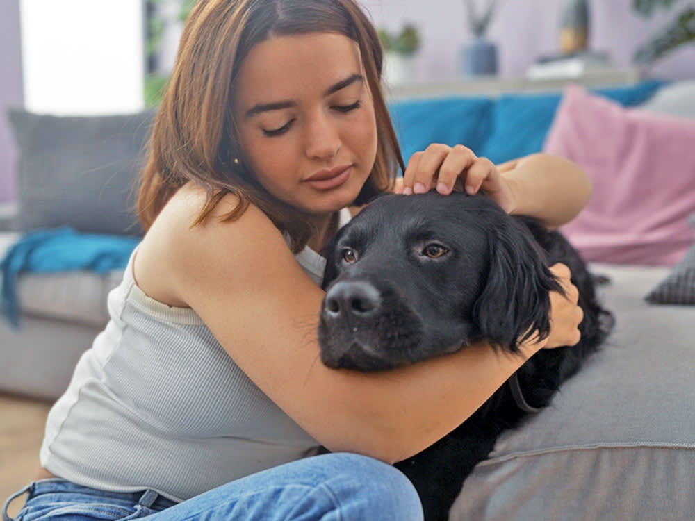 Woman cuddling her sick black dog at home.
