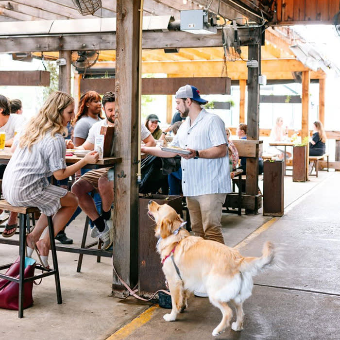a large yellow dog with people in Goodfriend Beer Garden