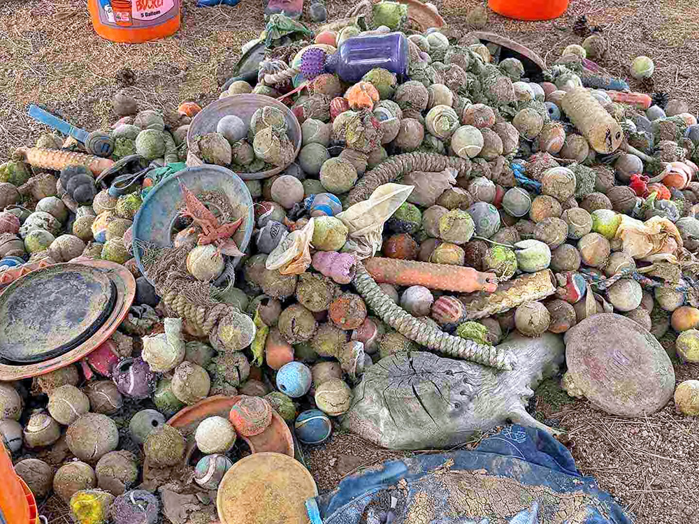 A pile of dog toys outside.