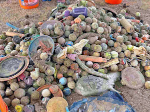 A pile of dog toys outside.