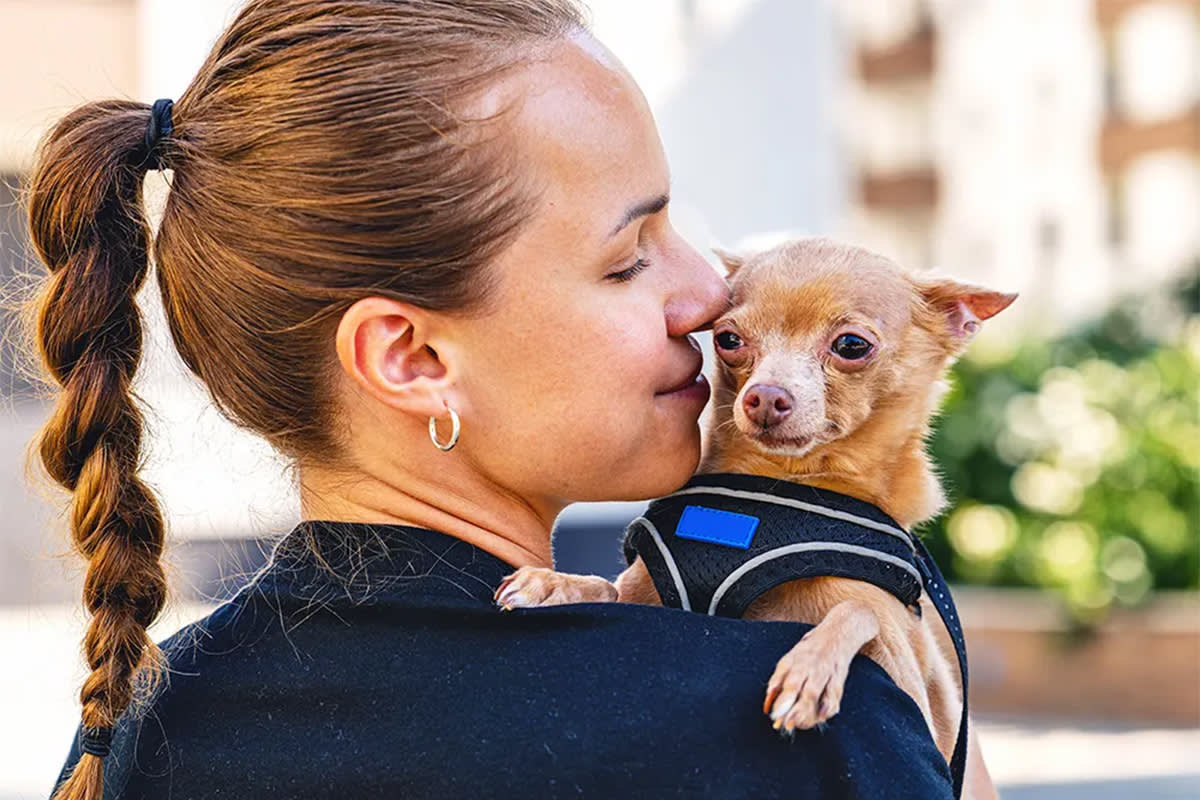 Person holding a dog