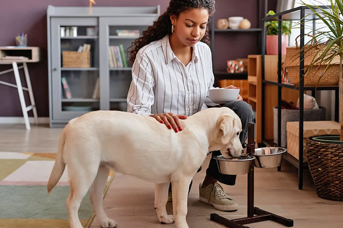 a woman petting a dog who's eating food