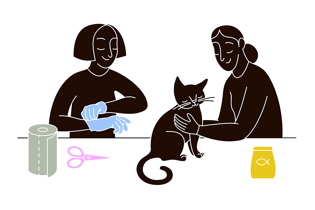 pet parents prepare cat for anal gland expression