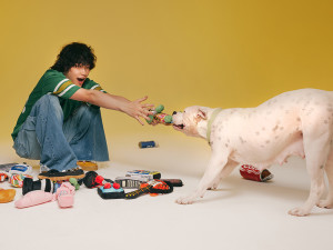 Young man playing with large white dog and dog toys.