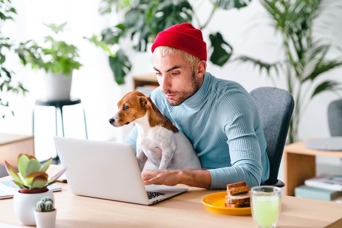 Person typing on a laptop with a dog