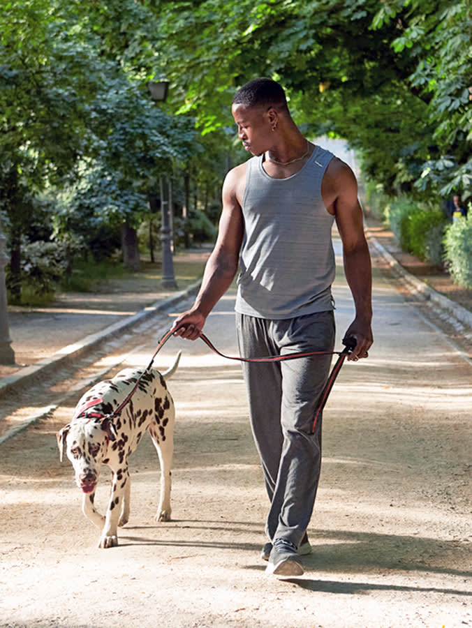 Man walking his Dalmatian dog outside.