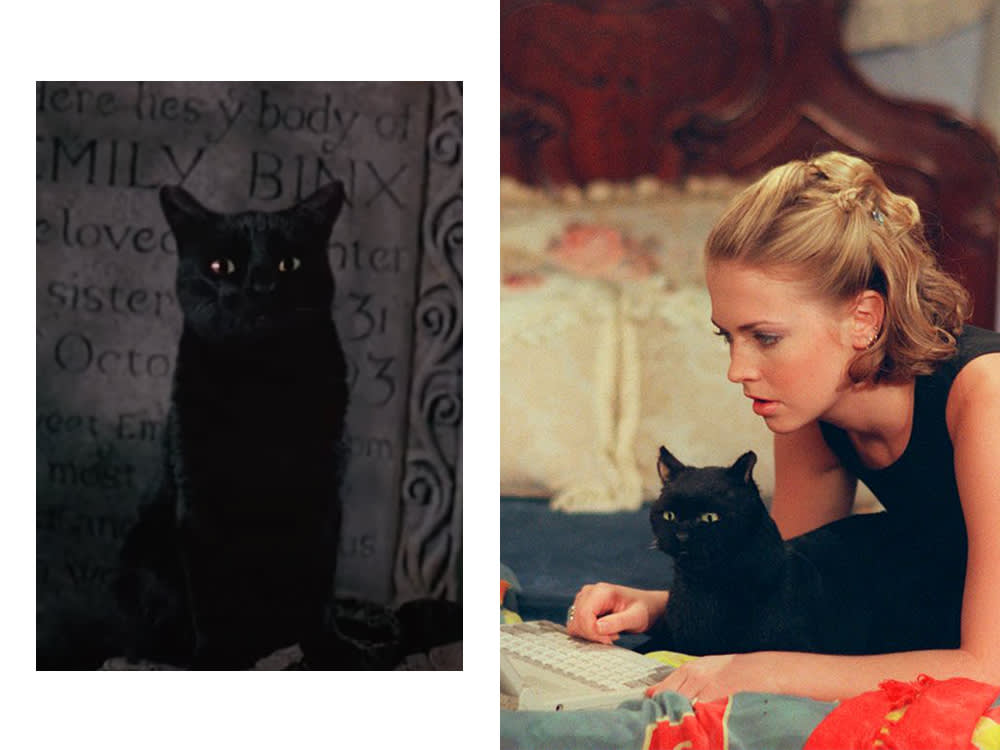 sabrina the teenage witch and salem the black cat / binx black cat hocus pocus