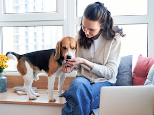 Woman giving her dog a treat at home.