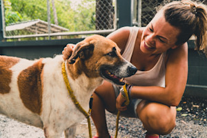 a woman wearing shorts and a vest crouches down by a shelter dog