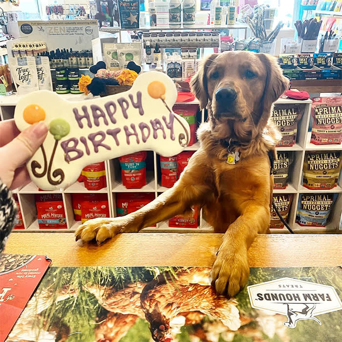 a dog receiving a "happy birthday" bone at Aeslin