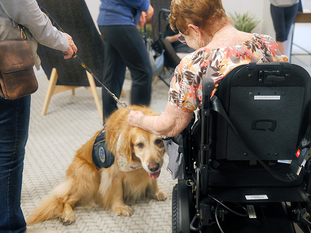 Lucy the Golden Retriever snuggles up to a resident in a wheelchair at The Summit. 