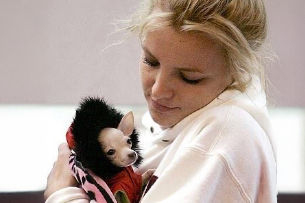 Britney Spears with a dog