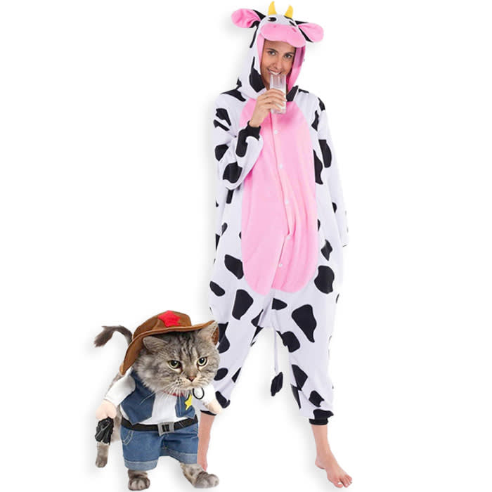 cat cowboy and cow