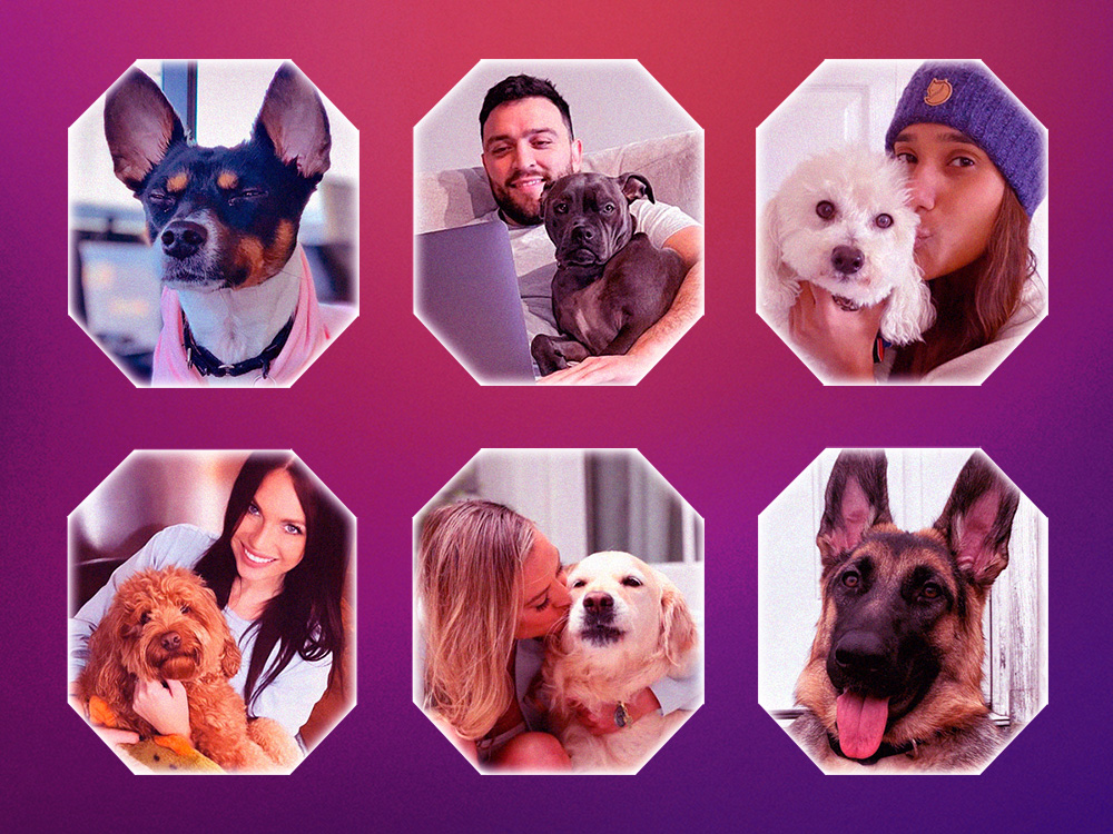 love is blind header