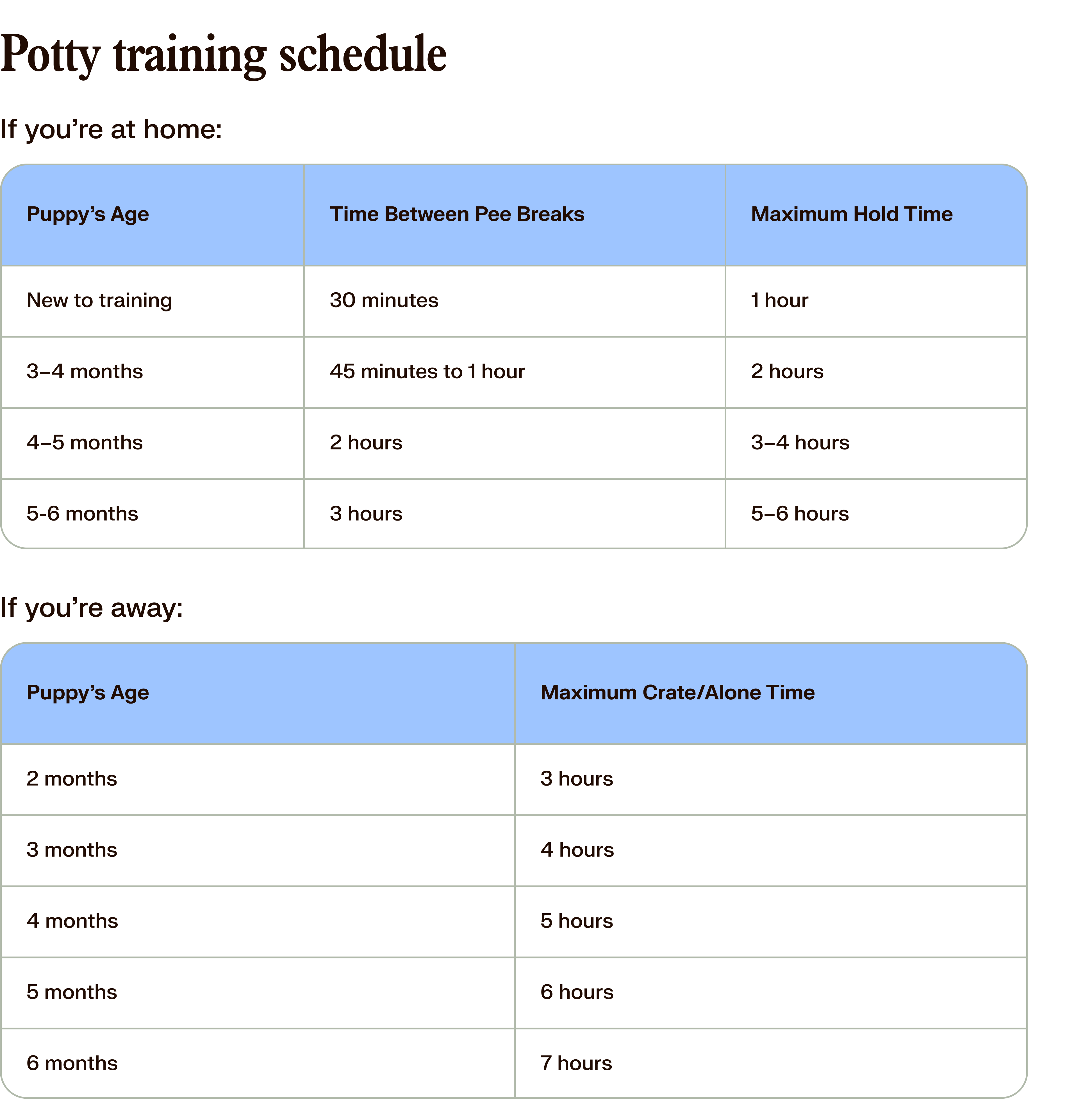 potty training schedule 
