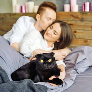 Couple in bed with their cat.
