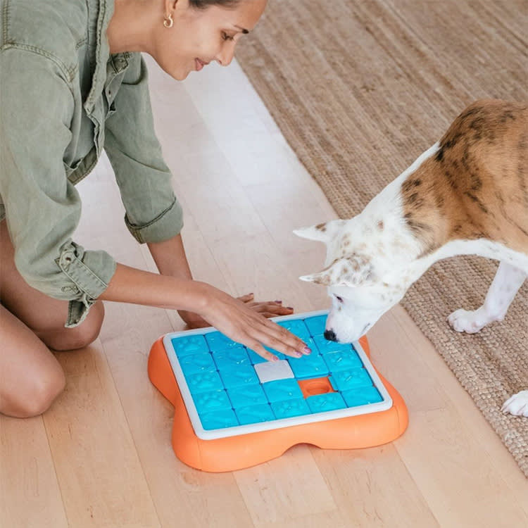 6 Genius Interactive Dog Toys From Nina Ottosson · The Wildest