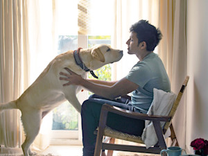 Dog jumping on someone sitting in a chair.