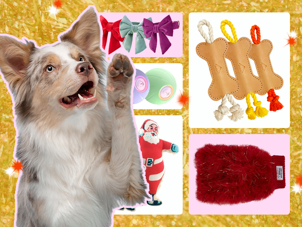 23 Christmas Gifts for Dogs to Spoil Every Kind of Pup (2023)  Dog gift  guide, Christmas gifts for pets, Dog christmas gifts