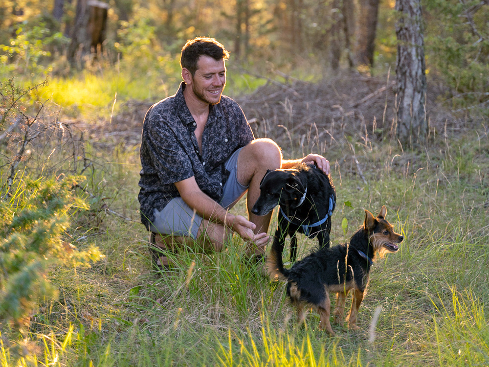 Man and dogs at sunset in nature.