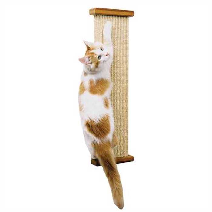 SmartCat Bootsies Combination Scratcher