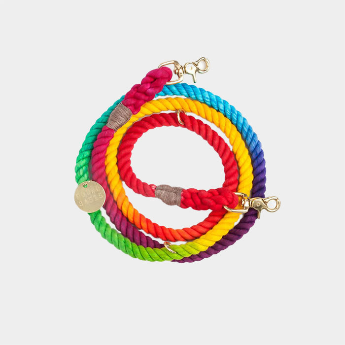 Found My Animal Adjustable Ombre Rope Dog Leash
