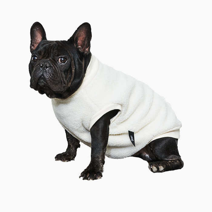 french bulldog wearing dkny x found my animal sherpa sweater