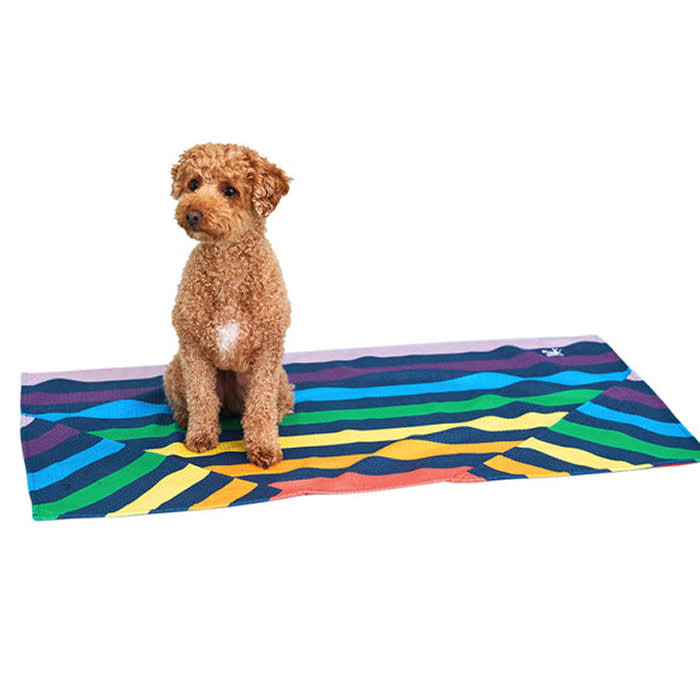 dock & bay pride pet towel, dog on rainbow towel 